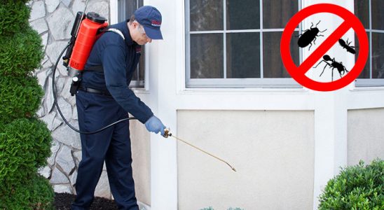 Saraydüzü Fare İlaçlama böcek ilaçlama ve haşere kontrolü — ilaclama-tr.com